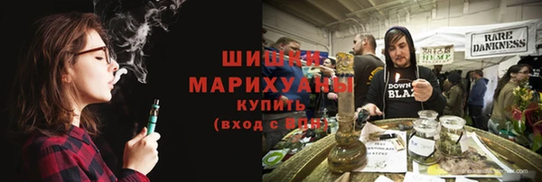 трава Няндома