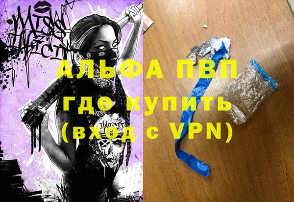 spice Богородск